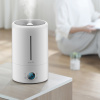 Увлажнитель воздуха с функцией ароматизации Deerma DEM-F628S EU