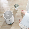 Увлажнитель воздуха с функцией ароматизации Deerma DEM-F628S EU